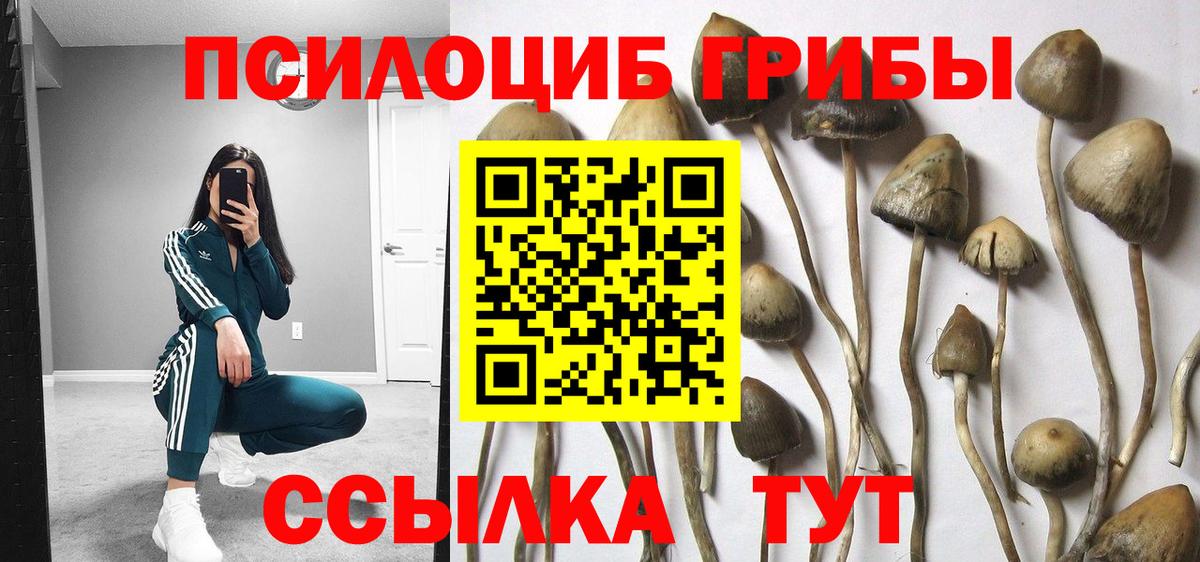Псилоцибиновые грибы мухоморы  Вход с VPN  купить наркоту  Урус-Мартан 