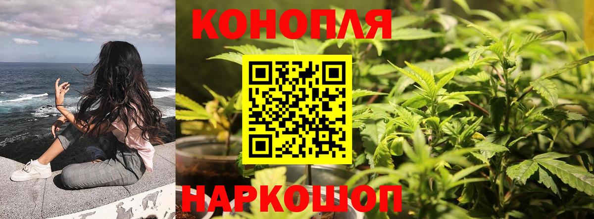 Шишки марихуана LSD WEED  Бошки марихуана планчик  Урус-Мартан  Вход с VPN  Конопля LSD WEED 